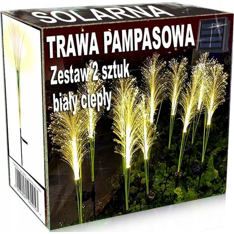 Solarlampen-Set, warme Fackeln, Pampasgras (1/5)