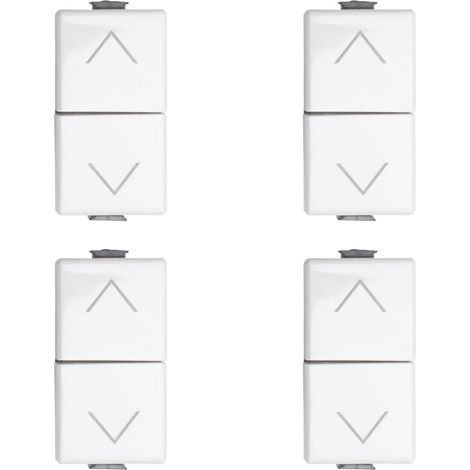 Interrupteur double verrouillable pour volet roulant 1P 10A compatible Matix (1/3)