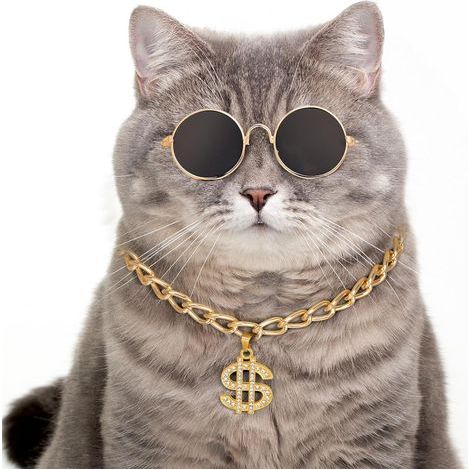 Goldfarbenes Hundehalsband mit Anhänger – mit Symbolanhänger, Metallhalsband, Accessoire im kubanischen Stil, geeignet für kleine und mittelgroße Hunde und Katzen (Größe M: 30–40 cm) (1/5)