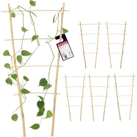 QAZQA Lot de 6 échelles en bambou - Échelle de soutien pour fleurs - Support pour plantes de jardin en bambou - Treillis en forme de V - Support d'escalade (h : 41 cm, double) (1/5)