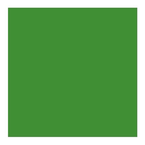 1KG-vert-Peinture temporaire naturelle pour sol extérieur (1kg/5m2) (1/2)