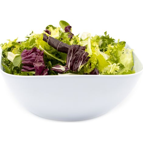 Cuenco de plastico cuadrado para comida Bol 4.8 Litros Blanco (1/4)