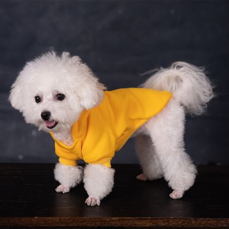 Adorable tenue jaune à capuche pour animal de compagnie, taille M, adaptée aux chiens et aux chats. (1/3)