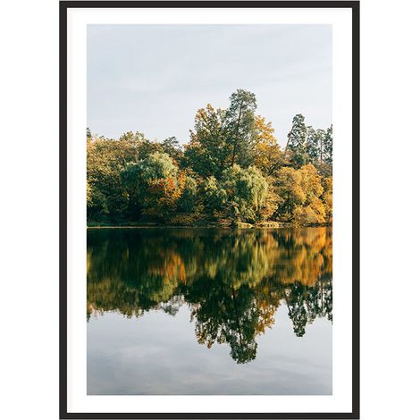 Bild, Poster im Rahmen 53x73 cm Wald P2012 (1/4)