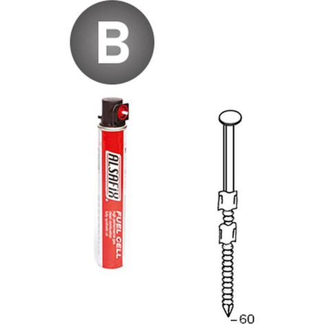 2 200 Pointes Annelées en Bande 20° (Pack) - 2.9x60 mm + 2 Cartouches de Gaz Rouge - D-Work (1/5)