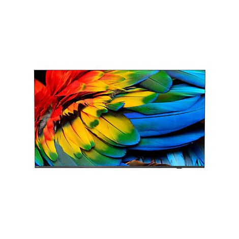 Philips 65HFL6214U/12 TV 165,1 cm (65") 4K Ultra HD Wifi Anthrazit 400 cd / qm
