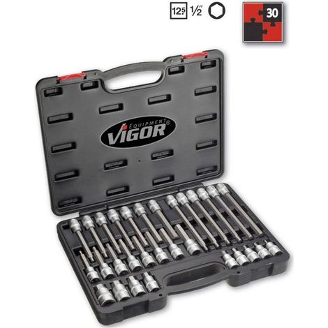 Vigor V1919 Set 30 Pezzi Inserti 1/2 Pollice Argento