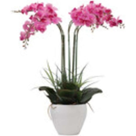 C ORCHIDEA C/VASO BIANCO 60 CM