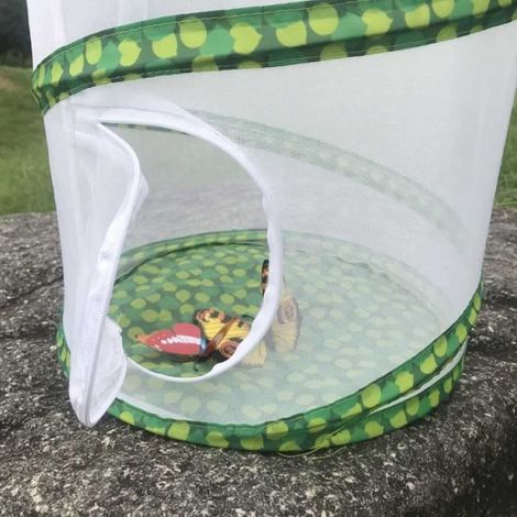 Cage à insectes filet pour perche à papillon (1/3)