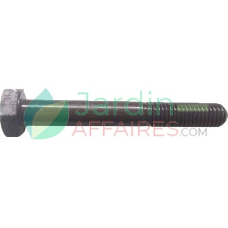 Tornillo Uni 5737 M 10 x 75 Delmorino 40100198 (1/2)