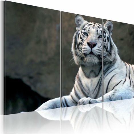 Tableau tigre blanc - 90 x 60 cm (1/4)