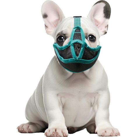 Muselière pour chiens brachycéphales - Muselière pour bouledogues français - Masque facial en maille respirante et ajustable (1/5)