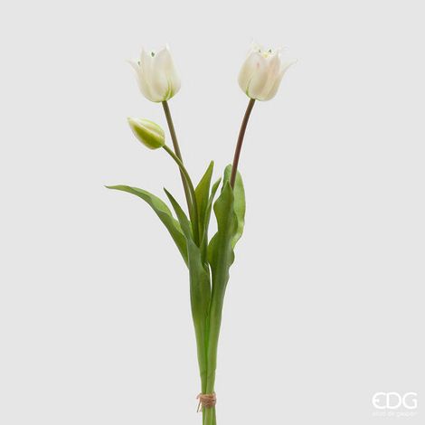 EDG Enzo De Gasperi Tulipano Gommato Olis 3 Rami H 48 Cm Bianco 1 Cf