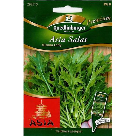Quedlinburger Asia Salat Mizuna Early - Premium Gemüsesamen (1/2)