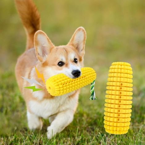 Jouet pour chien indestructible, jouet pour chien avec couineur, cadeau parfait pour les chiens, adapté aux chiens de taille moyenne et grande. (1/5)