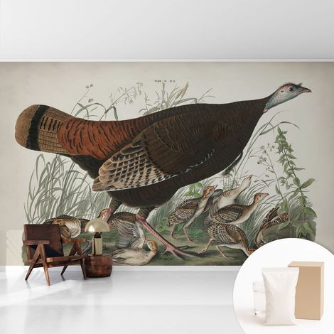Tapete Vliestapete mit Kleber - abwaschbar - Arbeitszimmer - Esszimmer- Top Qualität Natürliche Harmonie 416x254 cm (1/5)