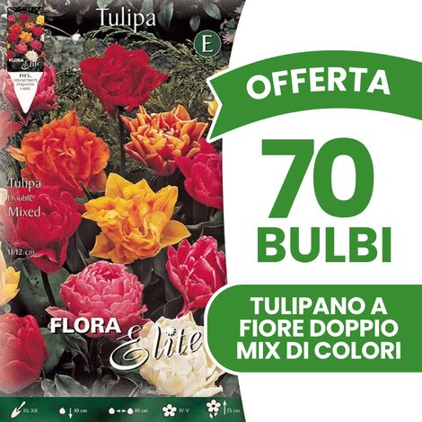 OFFERTA 70 BULBI DI TULIPANO A FIORE DOPPIO MIX DI COLORI