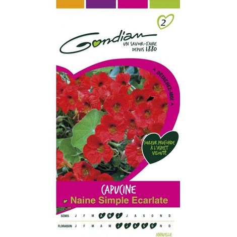 Gondian - capucine Naine Simple Escarlate (1/3)