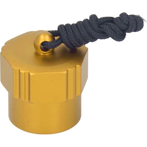 DIN-Staubkappe für Tauchregler, aus Aluminiumlegierung, universell, mit Gewinde, goldfarben. (1/5)