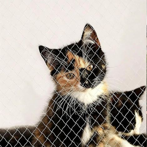 Filet de Sécurité Chat 6x3 m Blanc, Nylon Anti-UV, Sans Perçage Balcon (1/5)