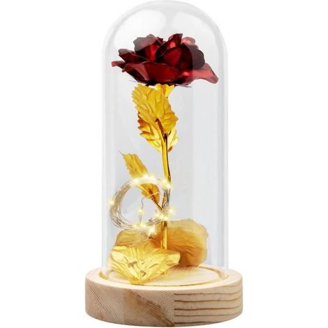 Rose Eternelle et lumière LED "La Belle et la bête" (1/4)