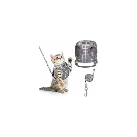 Harnais anti‑évasion réglable en maille respirante pour chat et petit chien, taille M – (1/5)