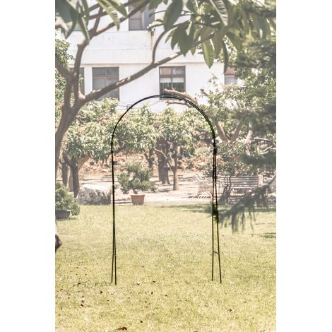 Support arceau pour plante Suan Accompagnement à la pousse 137 x 38 x 243 cm Noir TRENDYFLAIR (1/5)