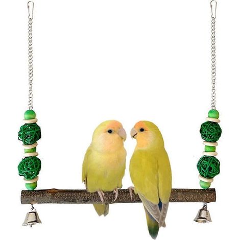 Perruches ondulées, perchoir, balançoire, hamac en bois pour oiseaux