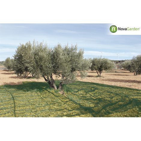 Manto recogida de frutos como la aceituna u otros verde 7x14m (1/2)