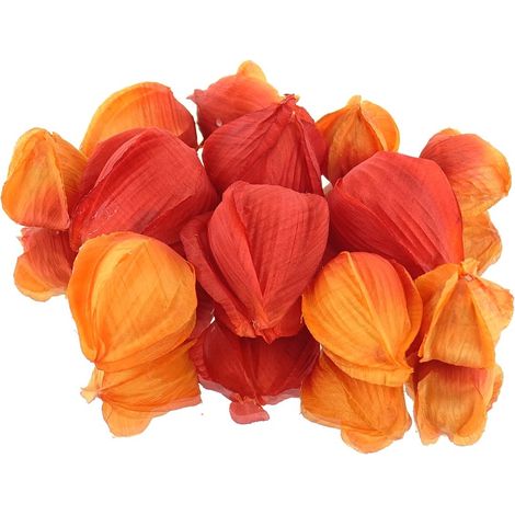 DPI Lampionpflanze - Physalis Früchte Orange Ø 3 bis 5 cm - Kunstblumen (1/2)