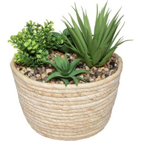 Plante Artificielle "Composition" 18cm Naturel & Vert (1/2)