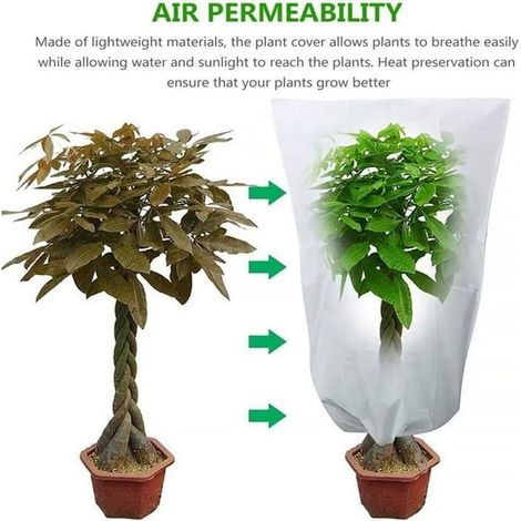 Housse d'hivernage pour plante, 1 pièce, protection réutilisable, sac de paillage pour l'hiver. (1/5)