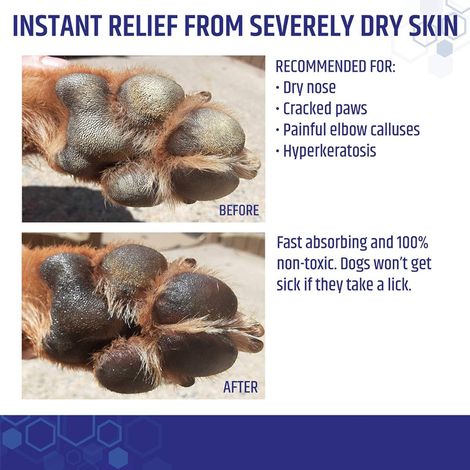 KineShineX Pet Paw Balm for Cats, Paw and Nose Moisturizing Cream for Dogs, Anti-Cracking Nose Balm (1/4)