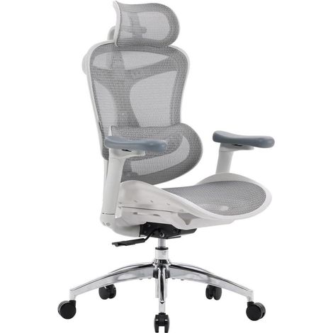 SIHOO Doro C300 Ergonomischer Bürostuhl 3D-Armlehnen Lordosenstütze (1/5)