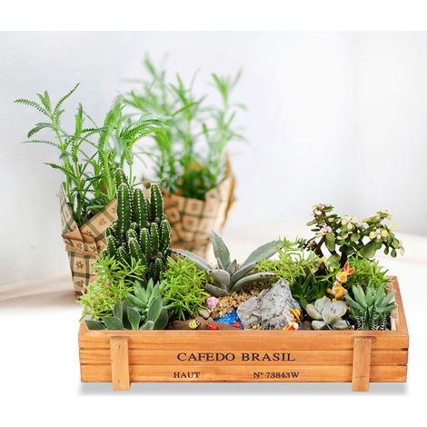 Boîte de rangement multifonctionnelle en bois pour plantes succulentes en pot, couleur bois foncé (1/5)