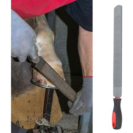 Lime de maréchal-ferrant double face pour le parage des sabots. outil de ferrage et accessoires d'équitation