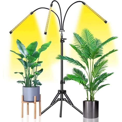 Eclairage pour plantes avec support, lampes de culture de plantes à LED à spectre complet à intensité variable, pour les semis de plantes (1/5)
