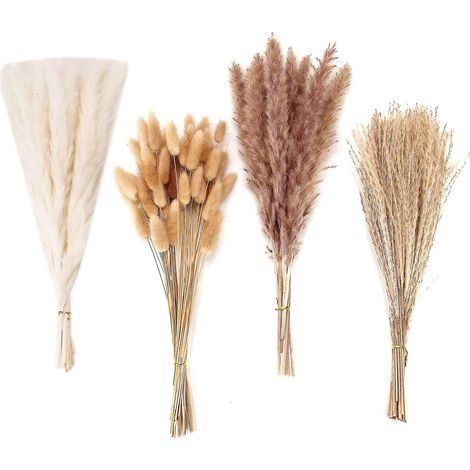 100 pièces de décoration en herbe de la pampa séchée, bouquet de fleurs séchées en roseau pour mariage (1/5)