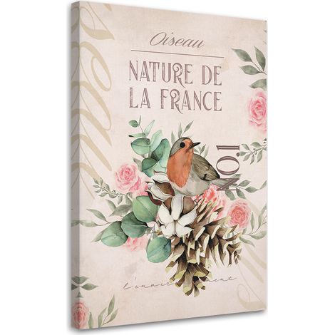 Tableau sur toile Fleur d'oiseau shabby chic 40x60 (1/5)