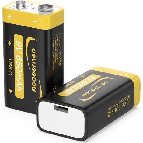 Piles 9v Rechargeable Lithium 650mAh,Pile 9V Lithium Rechargeable USB C 2 PCS avec Câble (1/5)
