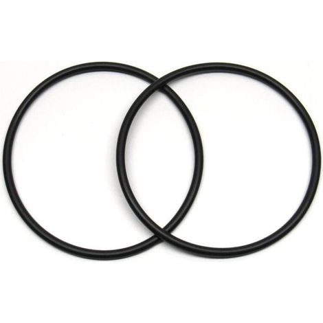 Joint en O-Ring Bestway P6119 – pour Couvercle de Filtre Flowclear (1/4)