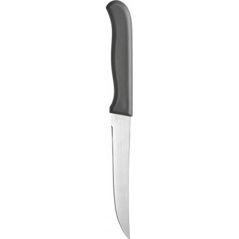 Couteau de cuisine Denis avec scie 21 cm (1/2)