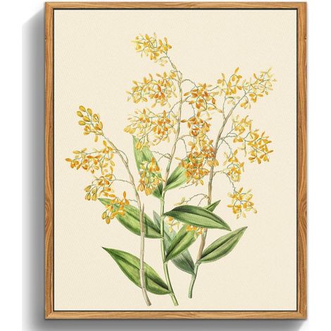 Vintage Botanische Leinwandbilder Holzrahmen 30x40cm Gelbe Orchidee Wanddeko (1/5)
