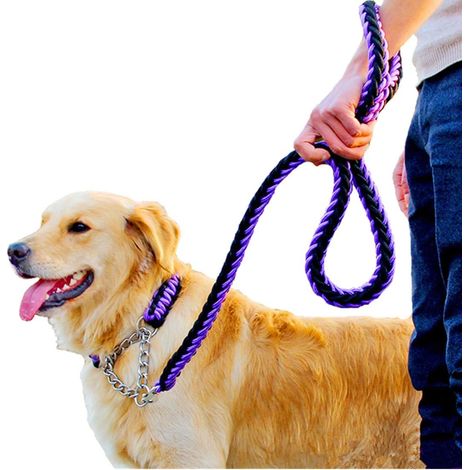 Laisse En Nylon - Pour Chiens - Réglable Avec Sangle De Tension - Collier Et Laisse Combinés - Violet - 1 Pièce (1/5)