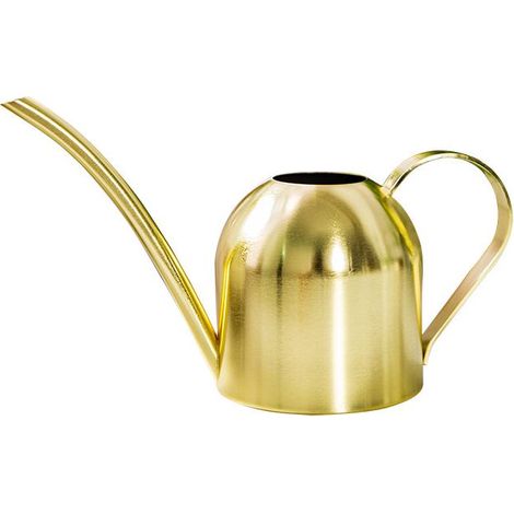 Arrosoir en Acier Inoxydable 500ml, Mini Arrosoir à Bec Long Style Moderne pour Plantes d'Intérieur, Succulentes et Bonsaï (1/5)