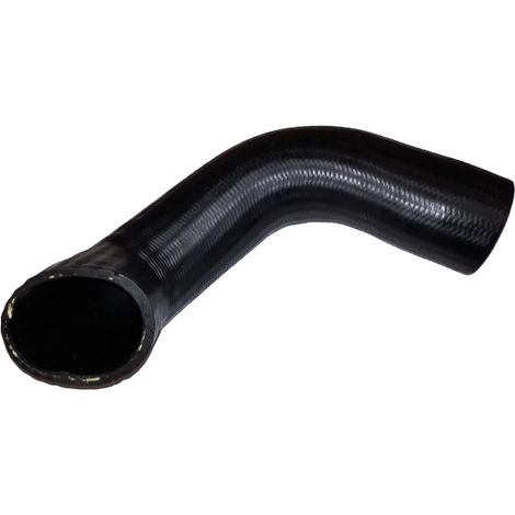 Gaine de suralimentation BUGIAD 81876 SEAT 5N0145832K