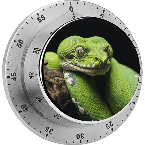 Minuteur Python Vert Mignon en Acier Inoxydable Magnétique (1/5)