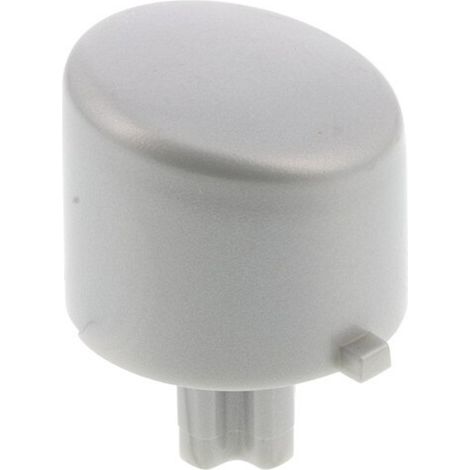 TASTO PLASTICA GRIGIO ACCENSIONE LAVASTOVIGLIE REX AEG ELECTROLUX 1525496806