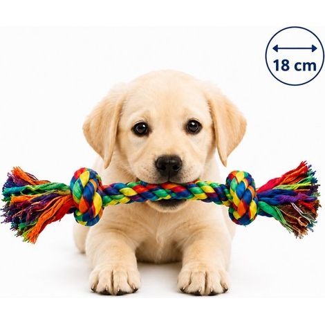 Jouet corde pour chien – Tir à la corde – 18 cm – Mâchage et soin dentaire – Durable (1/5)