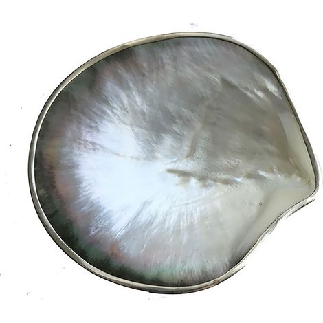 PERLE - Coupelle Coquillage Noire en Nacre avec Liseré Argenté - 11x11cm - Pièce Unique en Nacre Naturelle - Décoration Bord de Mer. Style Ethnique (1/2)